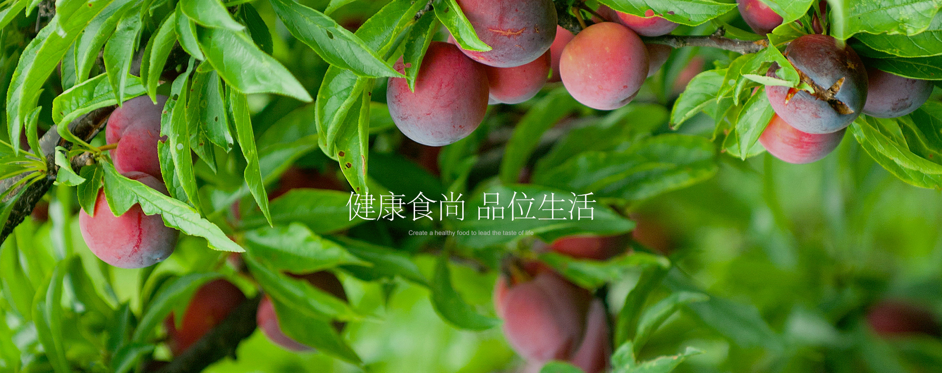 token.im下载-imtoken下载-imtoken钱包app